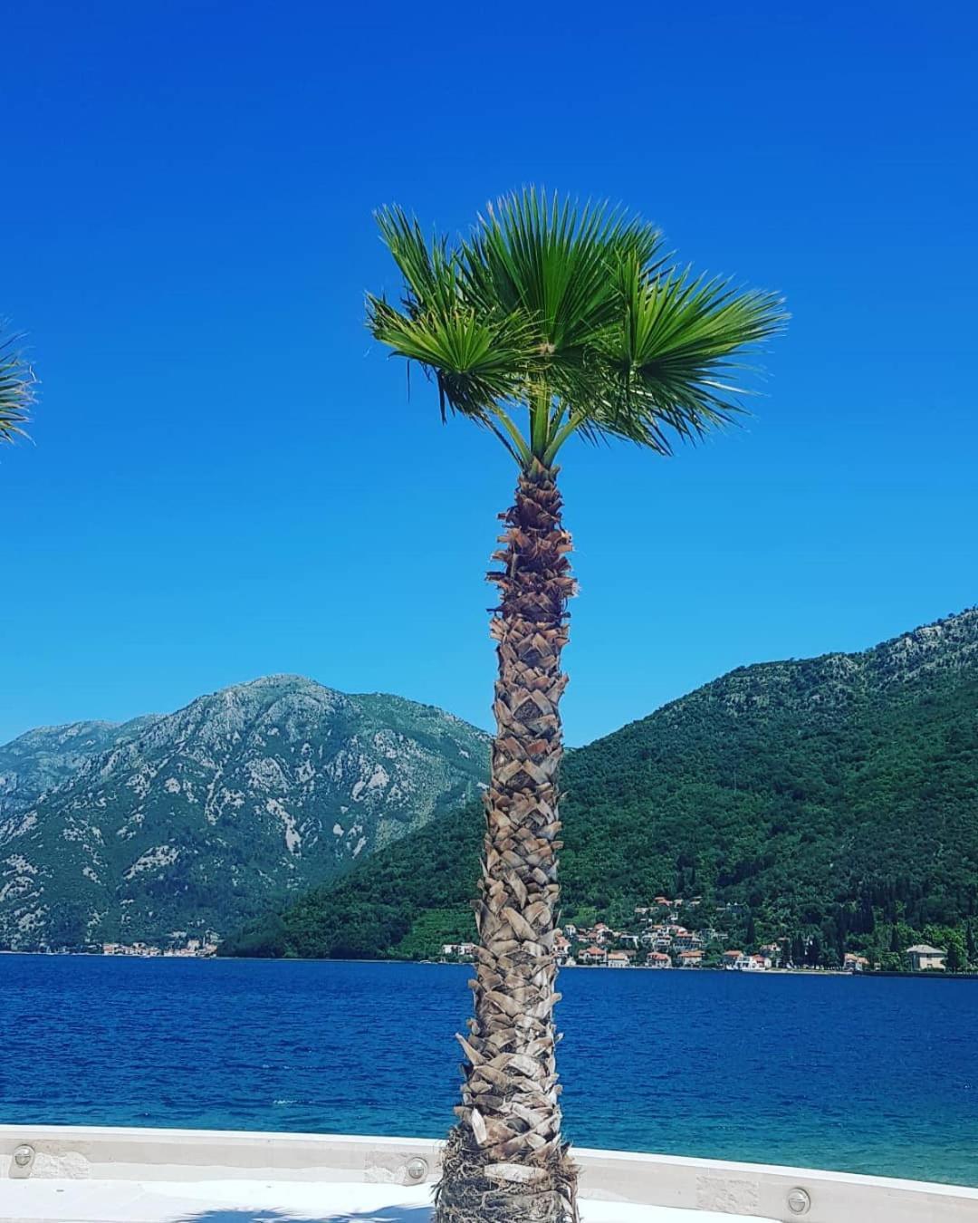 Apartman Taraca Villa Knezevic Herceg Novi Cameră foto